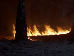 extant_HTLJ_3x12-Surprise_4365