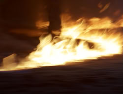 extant_HTLJ_3x12-Surprise_4368