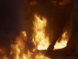 extant_HTLJ_3x12-Surprise_4369