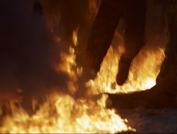 extant_HTLJ_3x12-Surprise_4370