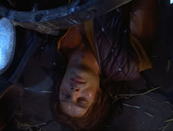 extant_HTLJ_3x12-Surprise_4398