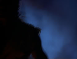 extant_HTLJ_3x12-Surprise_4432