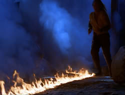 extant_HTLJ_3x12-Surprise_4496