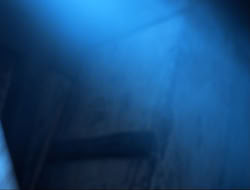 extant_HTLJ_3x12-Surprise_4501
