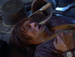 extant_HTLJ_3x12-Surprise_4517