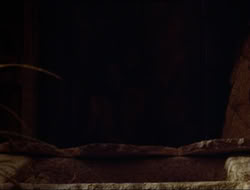 extant_HTLJ_3x12-Surprise_4546
