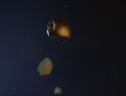 extant_HTLJ_3x12-Surprise_4636