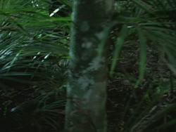 extant_HTLJ_3x13-Encounter_00007