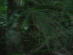 extant_HTLJ_3x13-Encounter_00008