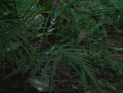 extant_HTLJ_3x13-Encounter_00010