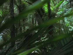 extant_HTLJ_3x13-Encounter_00031