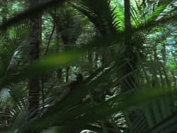 extant_HTLJ_3x13-Encounter_00032