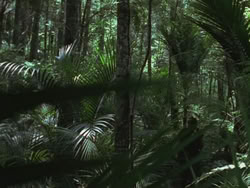 extant_HTLJ_3x13-Encounter_00034