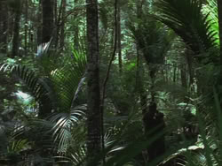 extant_HTLJ_3x13-Encounter_00035