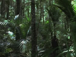 extant_HTLJ_3x13-Encounter_00036
