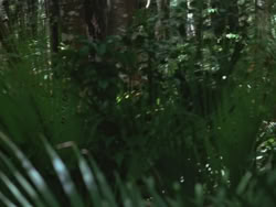 extant_HTLJ_3x13-Encounter_00047