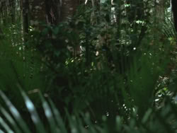 extant_HTLJ_3x13-Encounter_00048