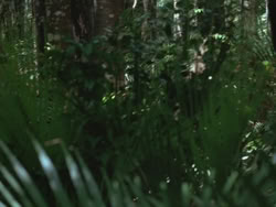 extant_HTLJ_3x13-Encounter_00049