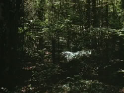 extant_HTLJ_3x13-Encounter_00054