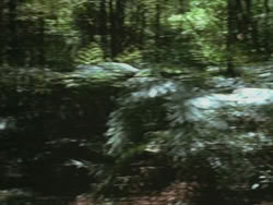 extant_HTLJ_3x13-Encounter_00056