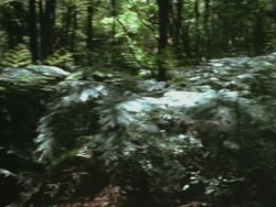 extant_HTLJ_3x13-Encounter_00057