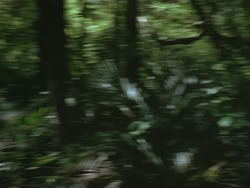 extant_HTLJ_3x13-Encounter_00059