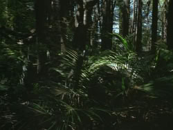 extant_HTLJ_3x13-Encounter_00061