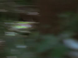 extant_HTLJ_3x13-Encounter_00079