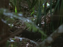 extant_HTLJ_3x13-Encounter_00081