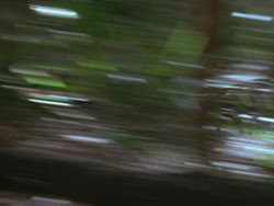 extant_HTLJ_3x13-Encounter_00082