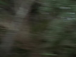 extant_HTLJ_3x13-Encounter_00096