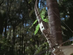 extant_HTLJ_3x13-Encounter_00111