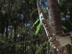 extant_HTLJ_3x13-Encounter_00112