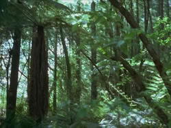 extant_HTLJ_3x13-Encounter_00328