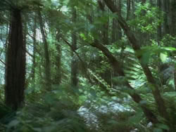 extant_HTLJ_3x13-Encounter_00329