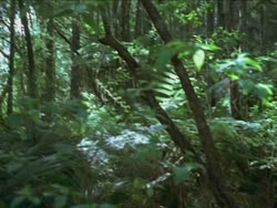 extant_HTLJ_3x13-Encounter_00330
