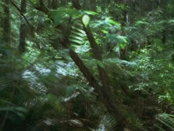 extant_HTLJ_3x13-Encounter_00331