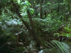 extant_HTLJ_3x13-Encounter_00332