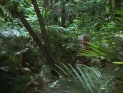 extant_HTLJ_3x13-Encounter_00333