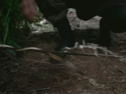 extant_HTLJ_3x13-Encounter_00849