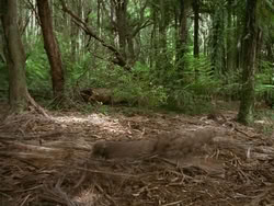 extant_HTLJ_3x13-Encounter_00998