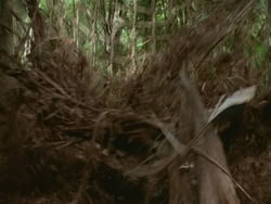 extant_HTLJ_3x13-Encounter_01000