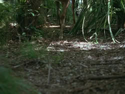 extant_HTLJ_3x13-Encounter_01011