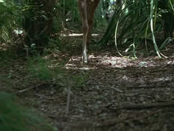 extant_HTLJ_3x13-Encounter_01012