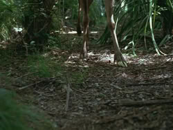 extant_HTLJ_3x13-Encounter_01013