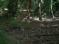 extant_HTLJ_3x13-Encounter_01014