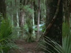 extant_HTLJ_3x13-Encounter_01032