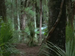 extant_HTLJ_3x13-Encounter_01033
