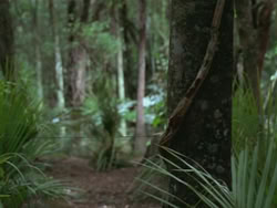 extant_HTLJ_3x13-Encounter_01034