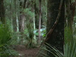 extant_HTLJ_3x13-Encounter_01035